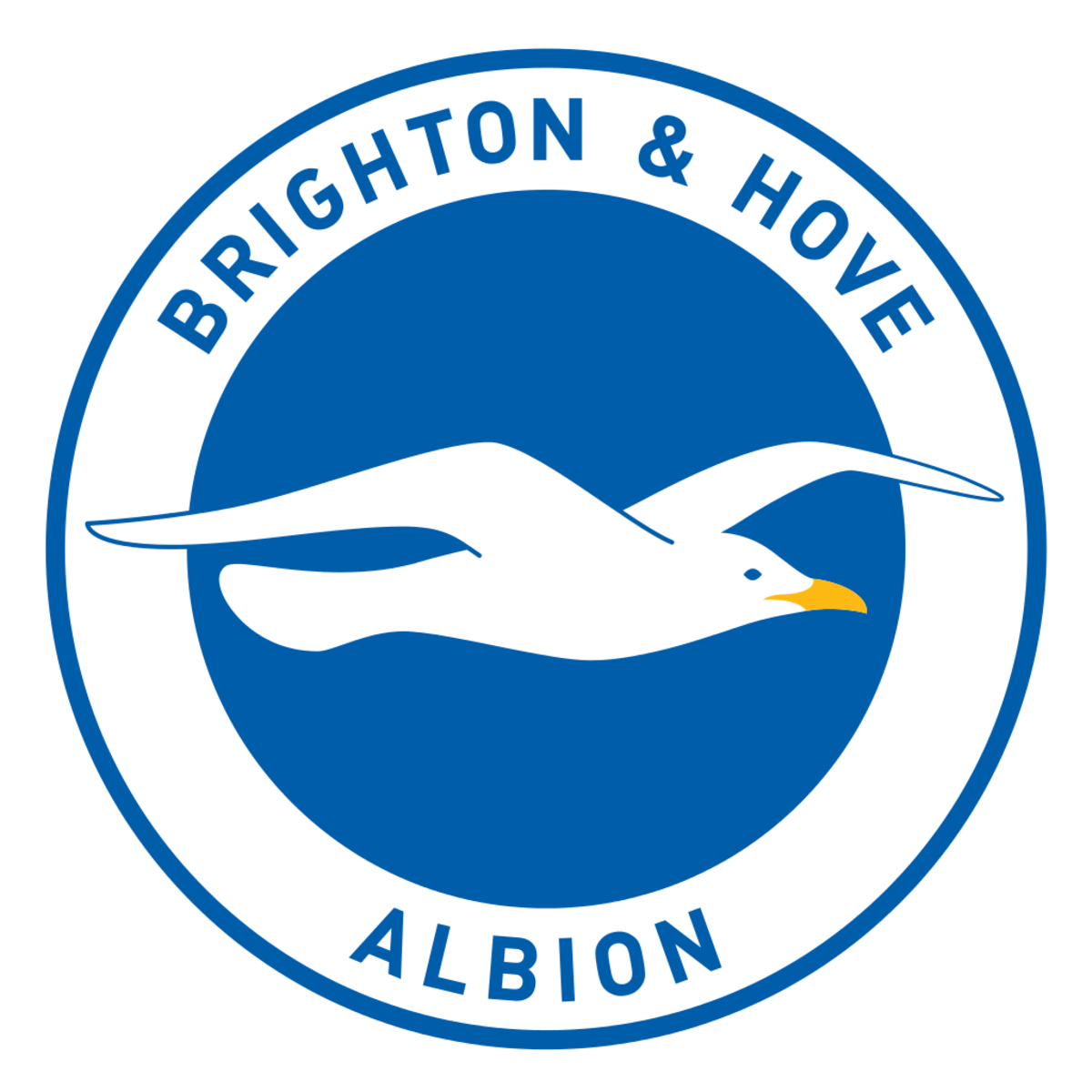 Brighton/Hove Albion